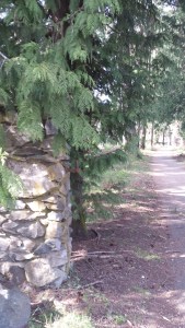Walking trails at hospital with fence post
