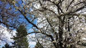 Walk Along Cliff Road